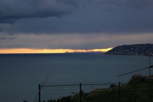 SONY DSC