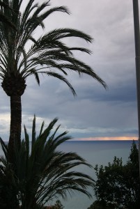 SONY DSC