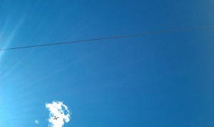 IMAG2273