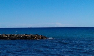 IMAG2278