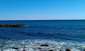 IMAG2279