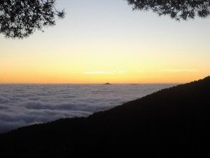 2012-11-16 17.04.29