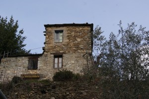 SONY DSC