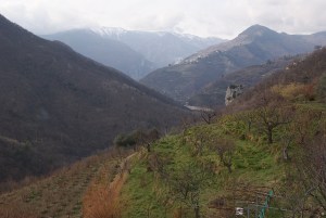 SONY DSC