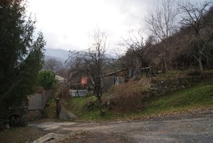 SONY DSC