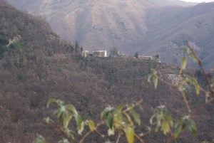 SONY DSC