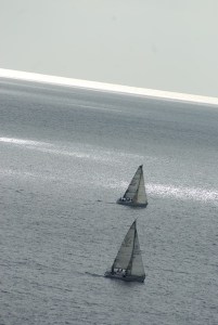 SONY DSC