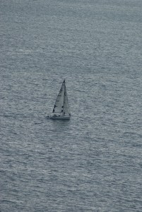 SONY DSC