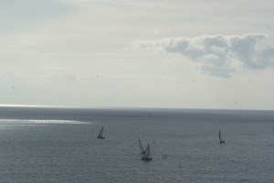 SONY DSC