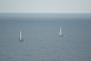 SONY DSC