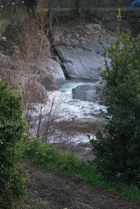SONY DSC