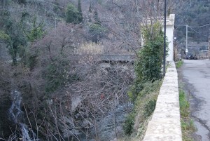 SONY DSC