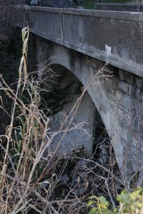 SONY DSC