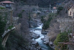 SONY DSC