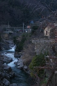 SONY DSC