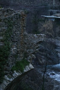 SONY DSC