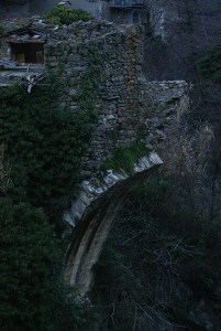 SONY DSC