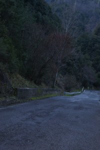 SONY DSC
