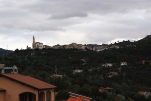 SONY DSC