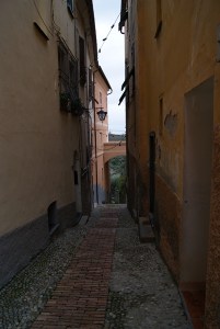 SONY DSC