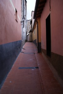 SONY DSC