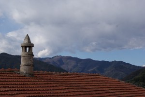 SONY DSC