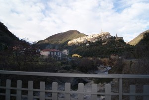 SONY DSC