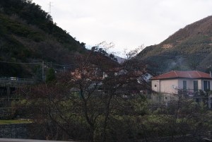 SONY DSC