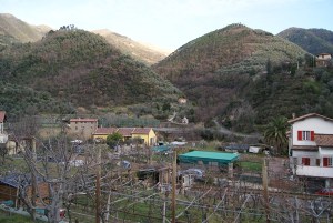 SONY DSC