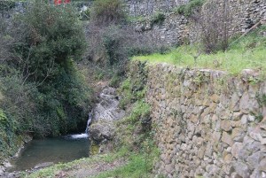 SONY DSC