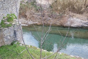 SONY DSC