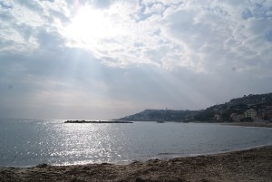 SONY DSC