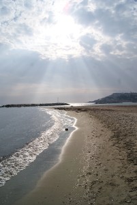 SONY DSC