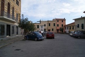 SONY DSC