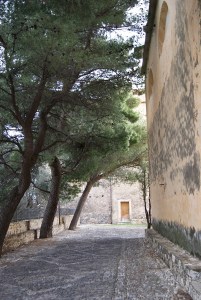 SONY DSC