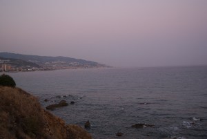 SONY DSC
