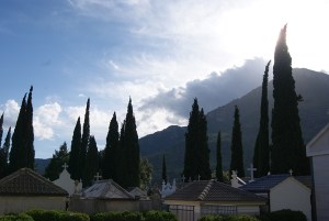 SONY DSC