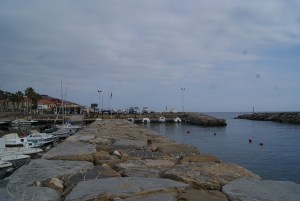 SONY DSC
