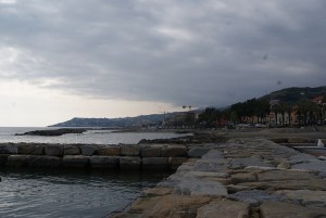 SONY DSC