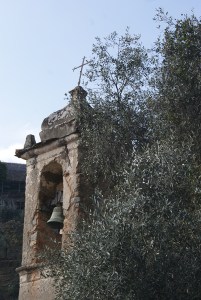 SONY DSC
