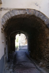 SONY DSC