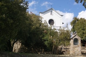 SONY DSC