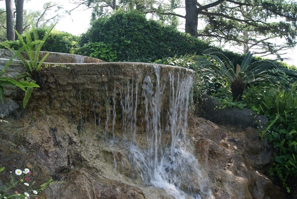 SONY DSC