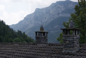SONY DSC