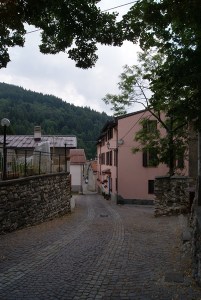 SONY DSC