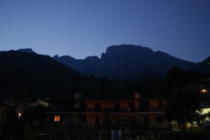 SONY DSC