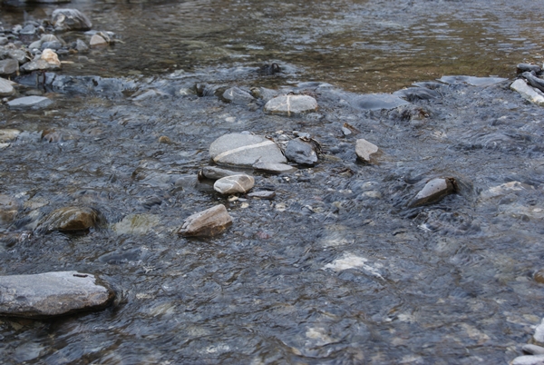 SONY DSC