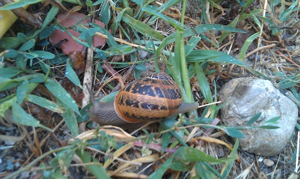 IMAG7942