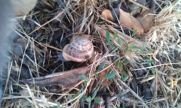 IMAG7967