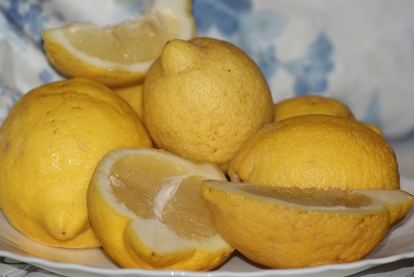 SONY DSC